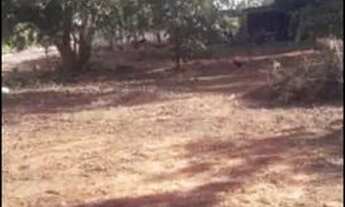 Imagem 5: Vende-se Terreno no Centro de Corguinho-MS