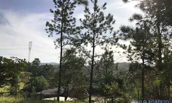 Imagem 2: AREA - CORRUPIRA - SP