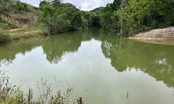 Imagem: FAZENDA EM MATA DE SÃO JOÃO EXCEPCIONAL