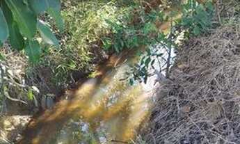 Imagem 4: CHACARA 5 MIL M² em Aracruz