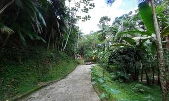 Imagem 6: Rural para Venda Sítio com 9,78 hectares a venda em Tres Riachos, Biguaçu. BIGUAÇU
