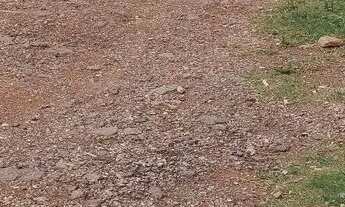 Imagem 5: Excelente lote no Sol nascente, abaixo da 11/ 15 do p-norte