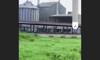 Imagem 5: Fazenda 3mil hectares no Rio Preto da Eva - AM