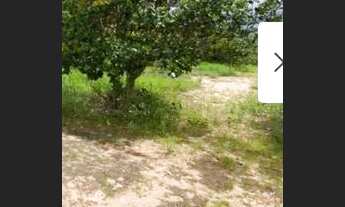 Imagem 2: Chácara agrotins