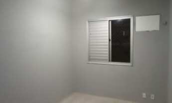 Imagem 6: Fit coqueiro 2 de 2/4