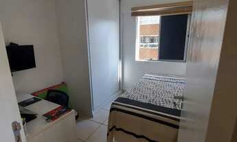 Imagem 4: Apartamento 3 quartos com planejados na Tamarineira