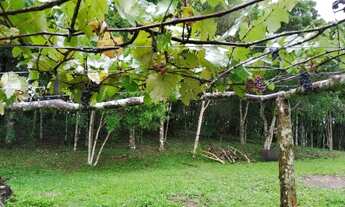 Imagem 7: Maravilhosa chácara 40.000m² próximo a VW/Audi. (Estudo propostas