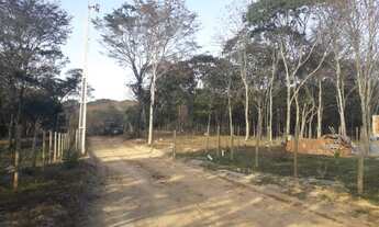 Imagem: Sítio e Chácara