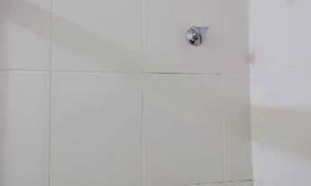 Imagem 16: Apartamento para Aluguel - Recreio, 2 Quartos, 94 m2