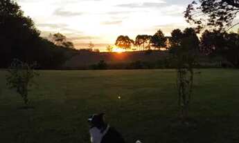 Imagem 5: Maravilhosa chácara 40.000m² próximo a VW/Audi. (Estudo propostas