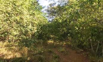 Imagem 2: Área em Terezópolis GO