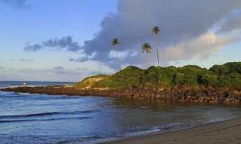 Imagem 7: Área Beira mar com 37 ha em Barra de Camaratuba - Mataraca - PB