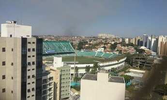 Imagem 7: Apartamento - Jardim Paraíso - Campinas