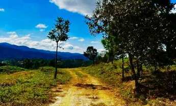 Imagem: Lote/Terreno para venda possui 1000m² em