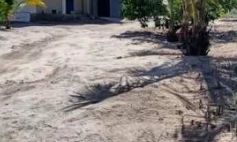 Imagem 2: Fazenda a venda Fazenda / sítio com venda por R$550.000