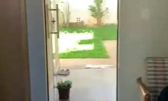 Imagem 7: Ótima Casa 235m! Localização Privilegiada -Colônia Agrícola Samabaia/ Av Misericórdia!