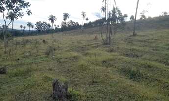 Imagem 3: CHACARA DE 5.000 M2 IGARAPÉ PRÓXIMO A SADA