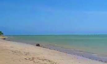 Imagem 4: Lote 15x60 à Beira Mar em Tatuamunha - próximo ao Patacho