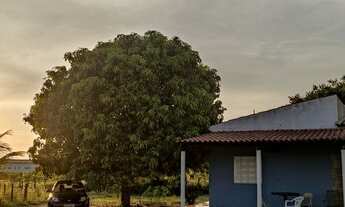 Imagem 6: Vende-se roça caatinguinha