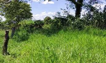 Imagem 5: Chácara em Cezarina