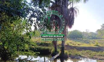 Imagem 2: Fazenda / Chácara 07 alqueires, ou seja 34 hectares