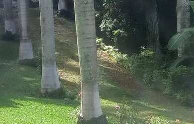 Imagem 2: Vendo sítio na Quintas da serra em Caeté próximo a serra da piedade