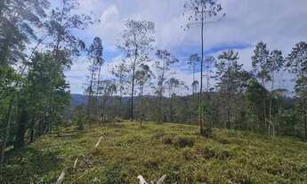 Imagem 2: Terreno com boa topografia em Juquitiba