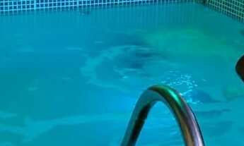 Imagem 3: Chácara completa