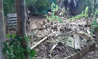 Imagem 5: Chácara com 2 dormitórios à venda, 1000 m² por R$ 300.000,00 - Residencial Vista Alegre I