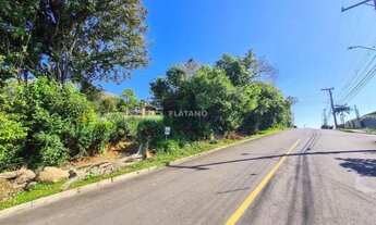 Imagem 5: Imóvel no Vista Alegre, Ivoti