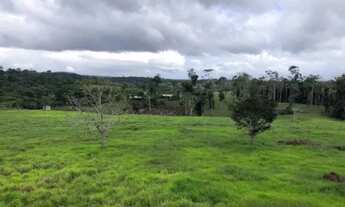Imagem 2: Fazenda 2.000 x 5.000 BR 174 KM 144 3.000.030,00
