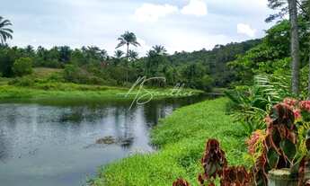Imagem 4: FAZENDA RURAL em Valença - BA, Valença