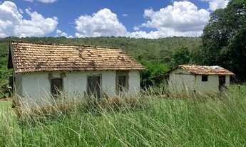 Imagem 7: Terreno 4.5 ha, 100% formado em pastagem, agua corrente nos fundos, pomar