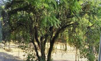 Imagem 4: Imóvel para aluguel tem 65 metros quadrados com 2 quartos em Jardim Lindóia - Porto Alegre