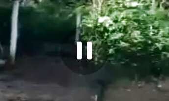 Imagem 5: Vendo chácara Casa com 2 dormitórios