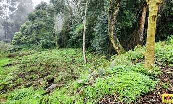 Imagem 2: Terreno para Venda em Nova Petrópolis, Centro