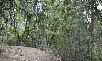 Imagem 3: Terreno à venda, 202000 m² por R$ 1.850.000,00 - Vila Progresso - Niterói/RJ