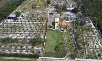 Imagem 2: Fazenda/Sítio/Chácara para venda tem 1000 metros quadrados com 9 quartos