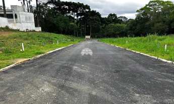 Imagem 5: Vendas Terreno Curitiba PR