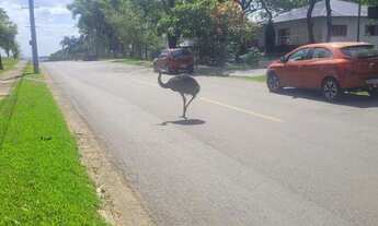 Imagem 2: Terreno à venda no bairro Residencial Aldeia do Vale - Goiânia/GO