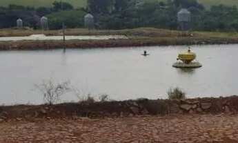 Imagem 3: Fazenda de Piscicultura