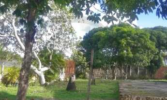 Imagem 5: Terreno localizado no Bairro Mosqueiro