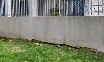 Imagem 3: Casa Térrea FINANCIÁVEL com 113m², PÁTIO INDIVIDUAL, situada no bairro Carianos Sul da Ilh