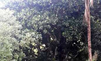 Imagem: Sitio Abreu e Lima