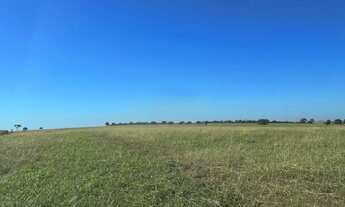 Imagem 2: R$125Milhoes. Fazenda 329 alqueires em Quirinópolis - GO