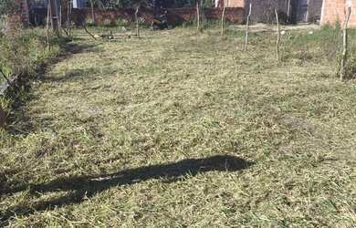 Imagem 2: Terreno na lagoa seca