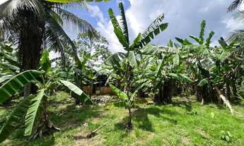 Imagem 2: Chácara Chácara com venda por R$180.000