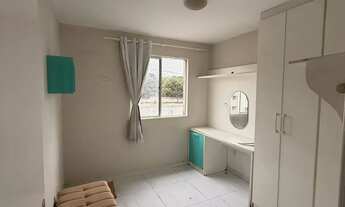 Imagem 2: Vilage das palmeiras