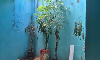 Imagem 6: Casa Casa com 2 dormitórios