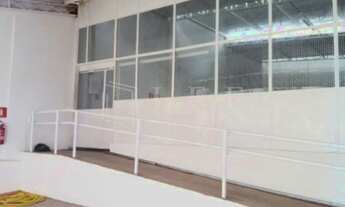 Imagem 6: Rua Dr Ernani Pereira - Vila Nova Conceição